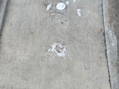 Drain Cleanout Plug Replacement