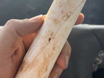 Pipe Replacement Services